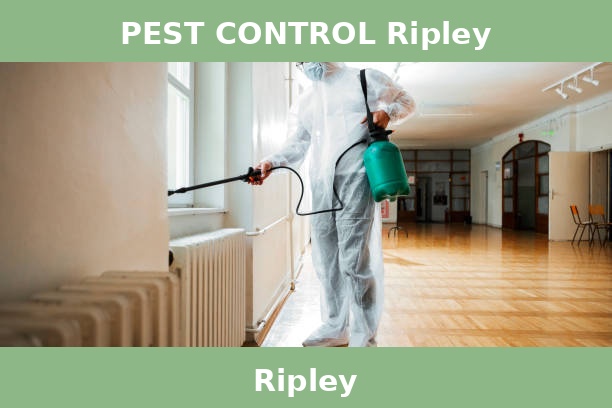 PEST CONTROL Ripley